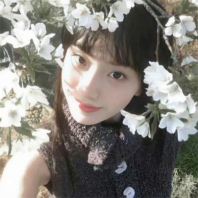 上载新生第四季封面