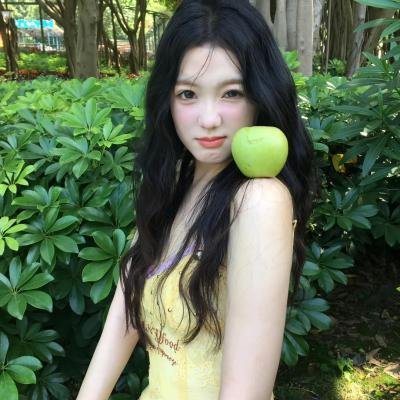 还珠记封面