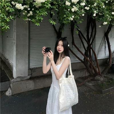 世界街头女斗士3封面